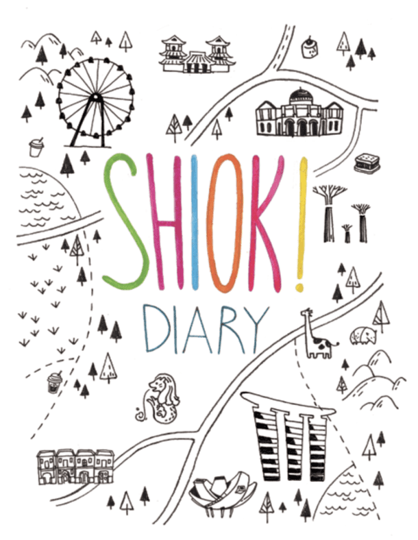 Shiok Diary Ebook